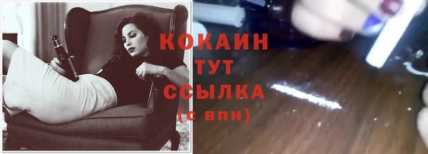 прущие крисы Абаза