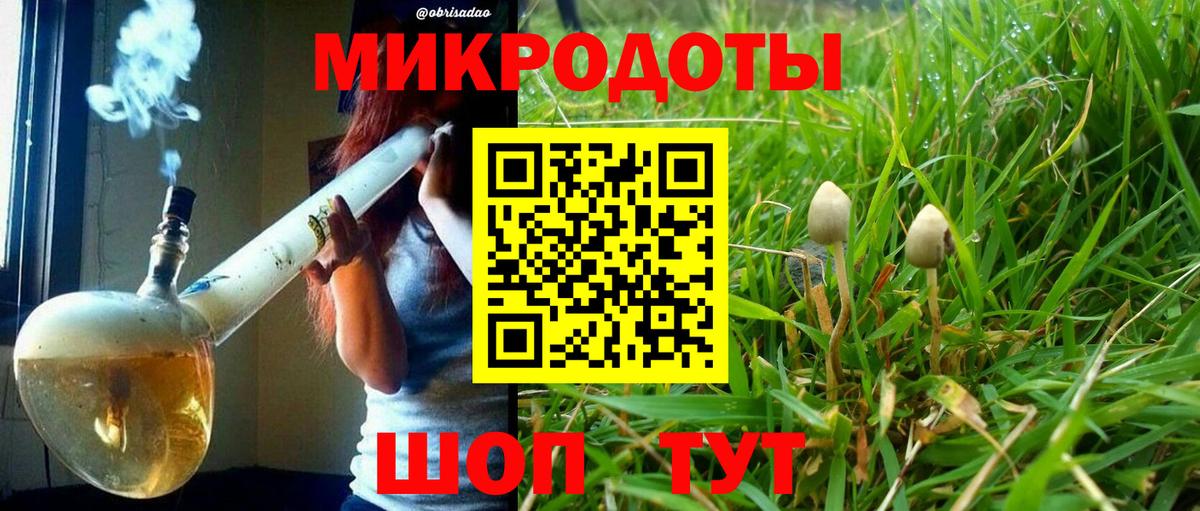 Галлюциногенные грибы Psilocybe  Вход с VPN  магазин  наркотиков  Лосино-Петровский  Галлюциногенные грибы мухоморы 